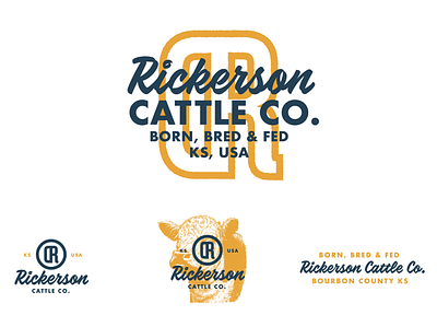 Rickerson Cattle Company - Brand branding color cow farm font food identity logo ranch type vintage
