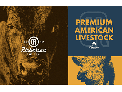 Rickerson Cattle Company - Execution brand brand identity cattle color cow farm font food illustration logo ranch restaurants type
