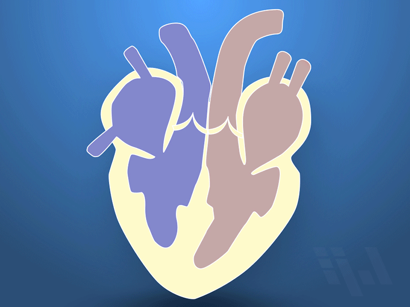 animated heart aftereffects animation heart