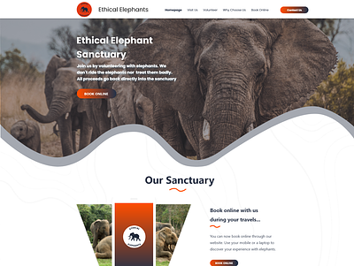 Ethical Elephants Landing page 2020 adobe illustrator adobe xd adobephotoshop design elephant logo elephants