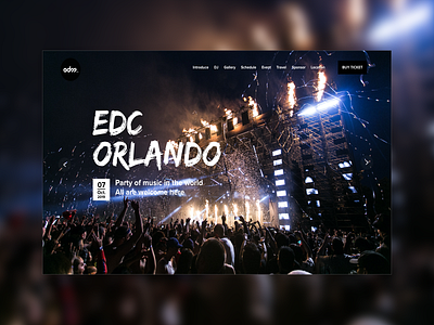 EDM concert Landing Page