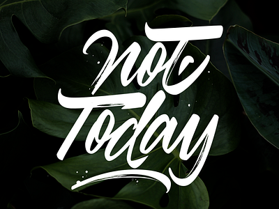 Not today design lettering lettering art lettering artist letters vector