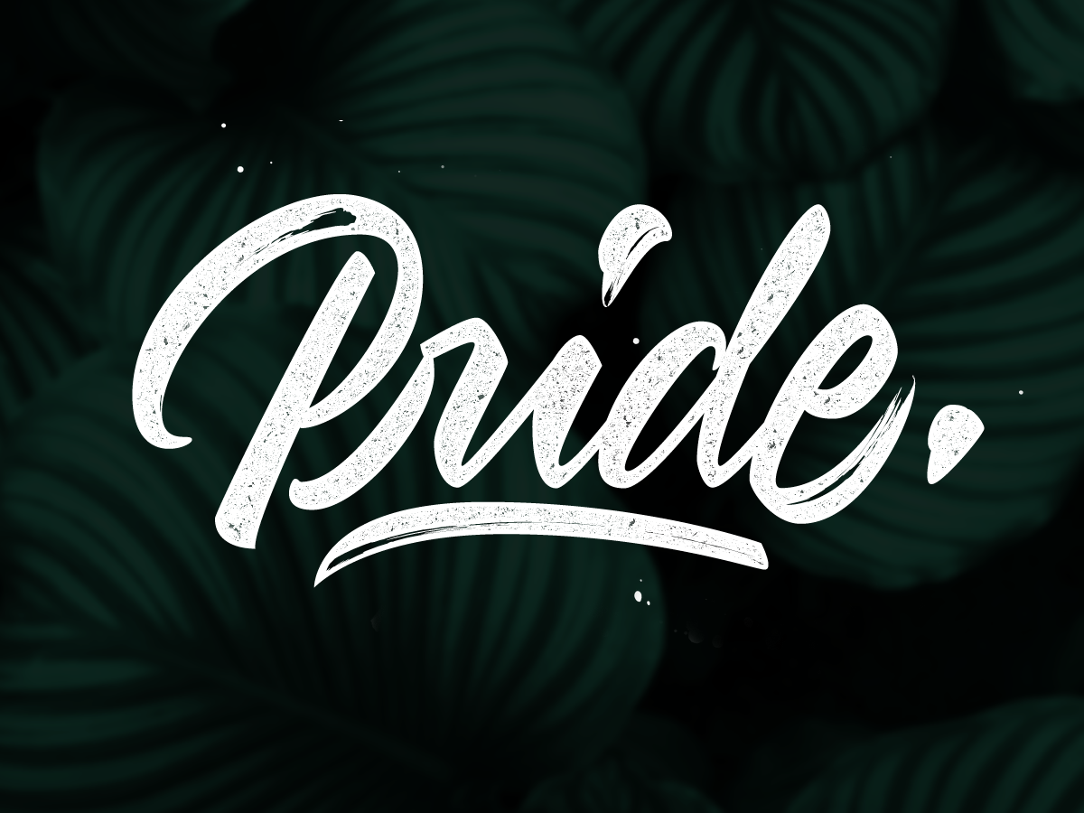 pride-by-daniel-avila-on-dribbble