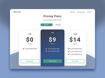 Pricing - Daily UI #30 daily ui pricing plans