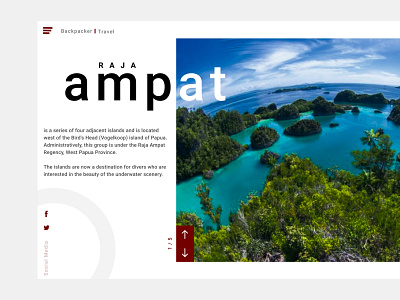 Web Design Concept Backpacker