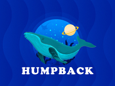 The humpback draw illistration pratice 插画