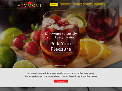 Vivocci - Website Design And Development Project