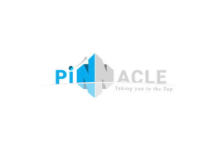 Pinnacle - Logo Design Project 3d logo design brand logo design business logo design custom logo design design your logo logo design services logo maker