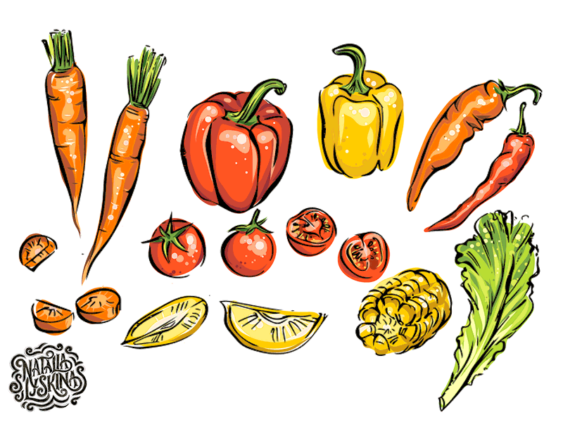 Vector food illustration. Process