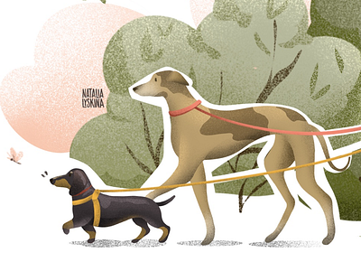 Detail of previous shot animal dachschund dog greyhound illustration illustrator walk