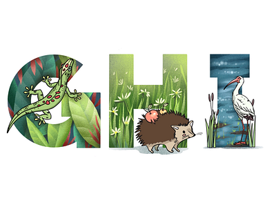 Alphabet: gecko, hedgehog, ibis a z abc animal book children illustration illustrator kid lettering nursery typography