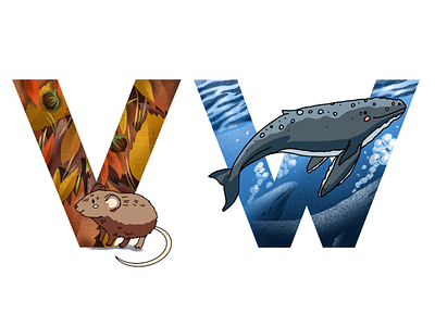 Alphabet: mole, whale