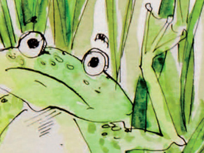 Dirtyfeet Frog character design childrens book illustration childrens illustration drawing illustration ink sketch