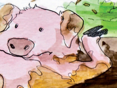 Dirtyfeet Pig character design childrens book illustration childrens illustration drawing illustration ink sketch