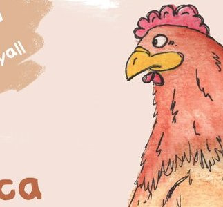 erica the picky chicken cartoon character design colour comic book comic strips freehand illustration sketching