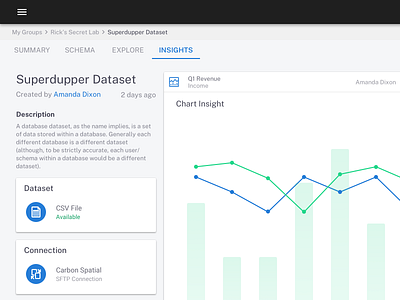 Dataset Insigths charts dashboad dataset dataviz insights user interface