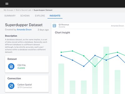 Dataset Insigths