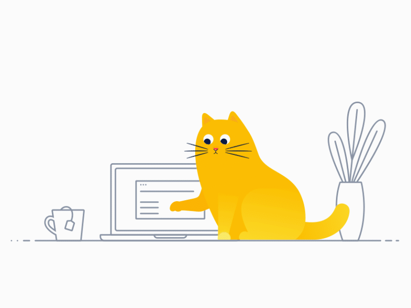 Programmer cat