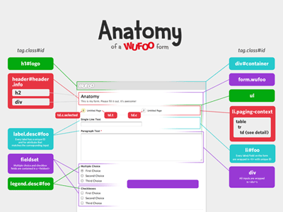 Anatomy