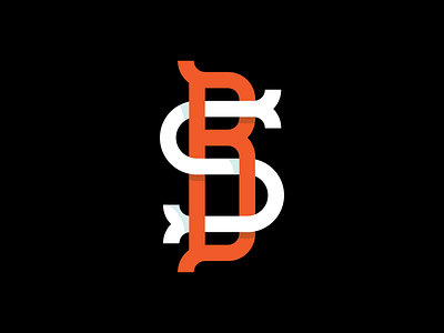 BS branding identity lettering logo monogram ornamental serifs shading type typography