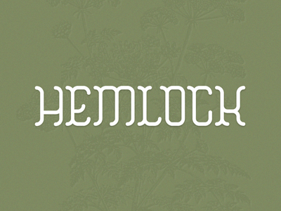 HEMLOCK : Type botanical font lettering michael spitz michaelspitz poisonous type typography