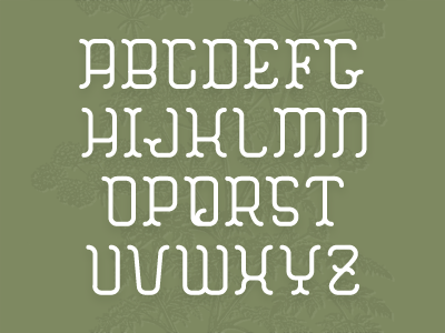 HEMLOCK : Type Specimen type font alphabet type specimen typography botanical serif michael spitz michaelspitz