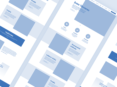 MERACUS WIREFRAME blue brand brno czech design ivankebeles redesign ui web work
