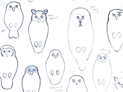 Owl sketches animals illustration owls sketch