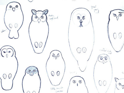 Owl sketches