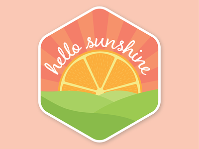 Hello Sunshine citrus hello illustration illustrator sunshine vector