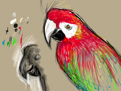 Parrot drawing parrot sketches