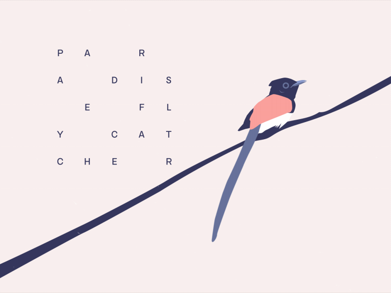 Okomito Animated after effects animated animography font japan mount fuji okomito paradise flycatcher typeface typography