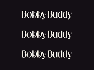 Bobby Buddy analogue bobbybuddy branding charter design interaction photo photographer photography portfolio project typography ui userinterface ux