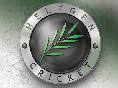 Helygen Cricket brand cricket equipment emblem logo sport