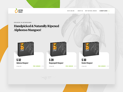 natural mango branding contemporary design flatdesign kabilansa landingpage modern ui ux website