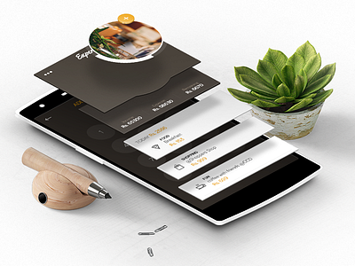 Expency App android design flatdesign hybrid kabilansa mobile app ui ux website