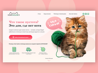 Web-design concept for animal shelter cat design web design website