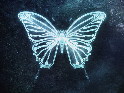 Butterfly in X-ray art butterfly cg digital painting illustration painting x-ray xray
