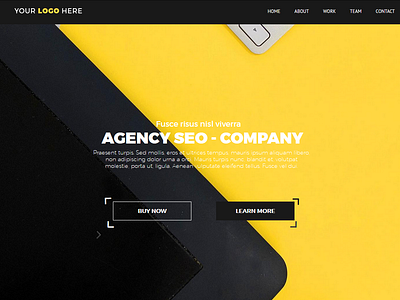 Agency SEO