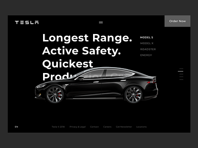 Tesla Motors Website