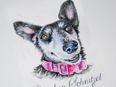 watercolor portrait of a dog, a5