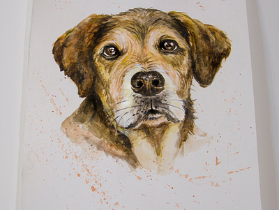 Dog's portrait, watercolor, art aquarel dog drawing fashion illustration paint painting style