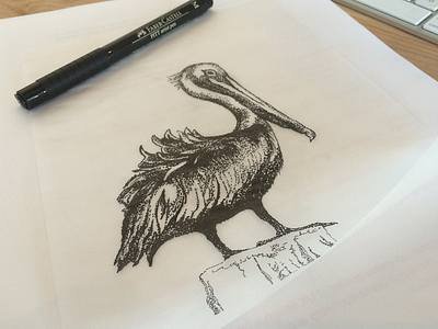 a brief pelican bird branding identity logo pelican stippling