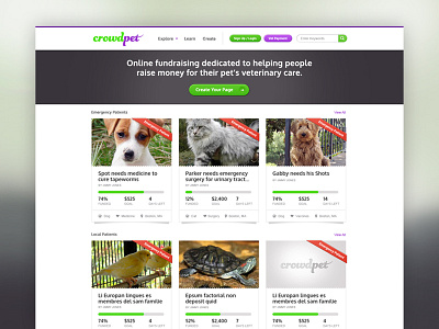 Crowdpet crowd sourcing pets web design web layout