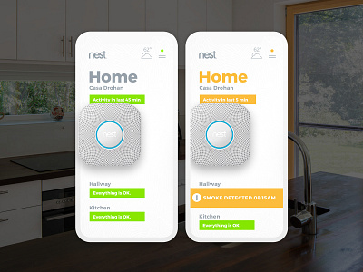 Nest Home App Design "Protect" app branding design flat illustration interactive design type typography ui ux vector