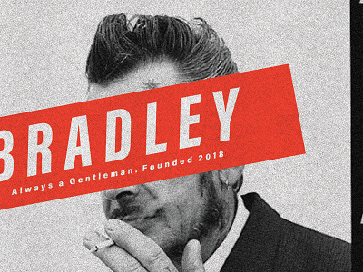 "Bradley" Ted Poster 03 branding design flat icon logo photography print printdesign type typography vector