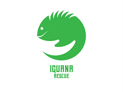 Iguana Rescue 🦎