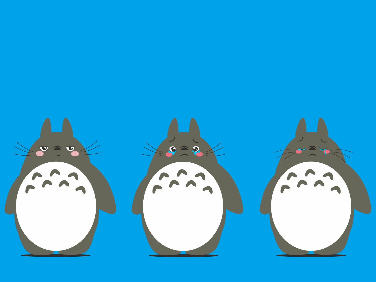 Totoro2 by ibrahim hidayatt on Dribbble