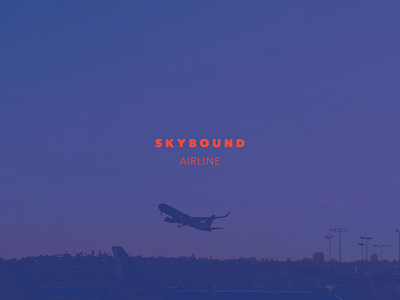 Skybound Airline 100daychallenge branding character clean dailylogochallange design flat graphic design graphic design brand graphic design logo icon identity illustration illustrator lettering logo minimal retail design typography vector