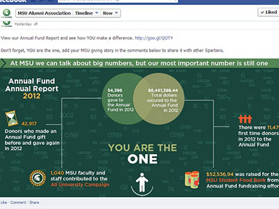 Annual Fund Annual Report Info graphic graphic info social media